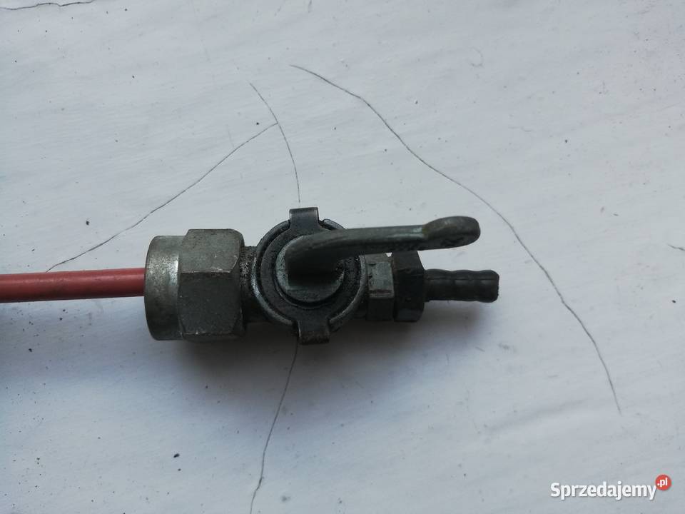 Simson kranik Dąbie