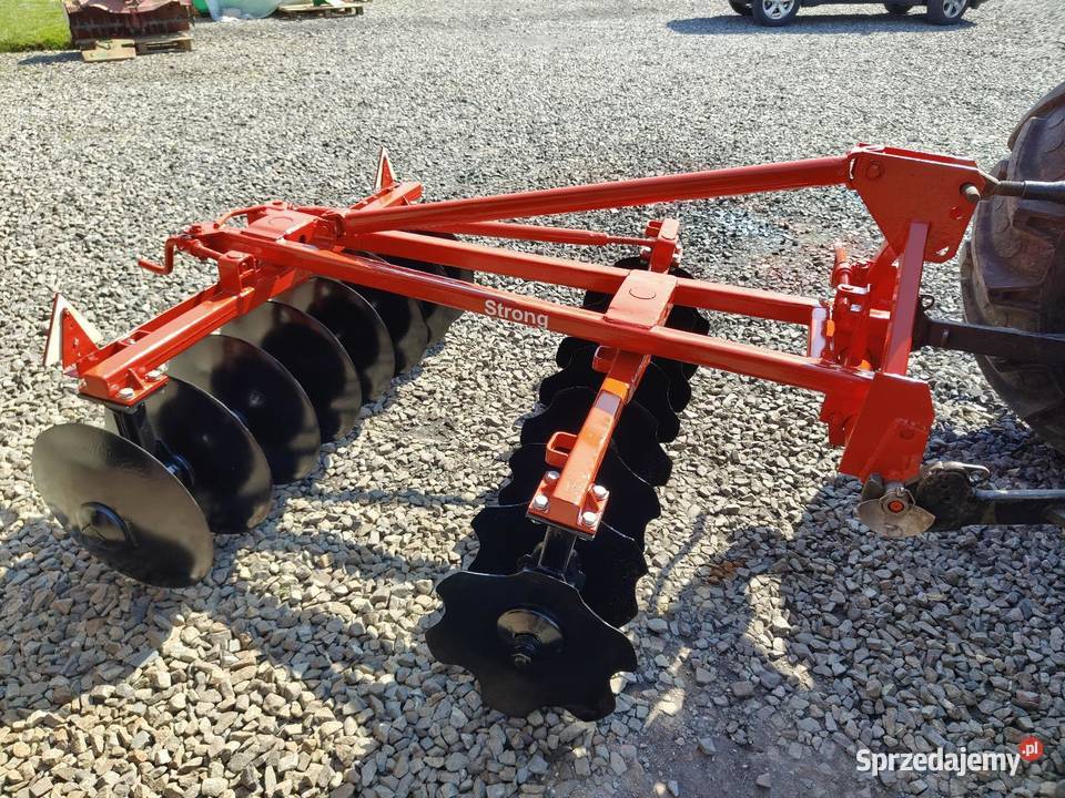 Talerzowka Golasowice