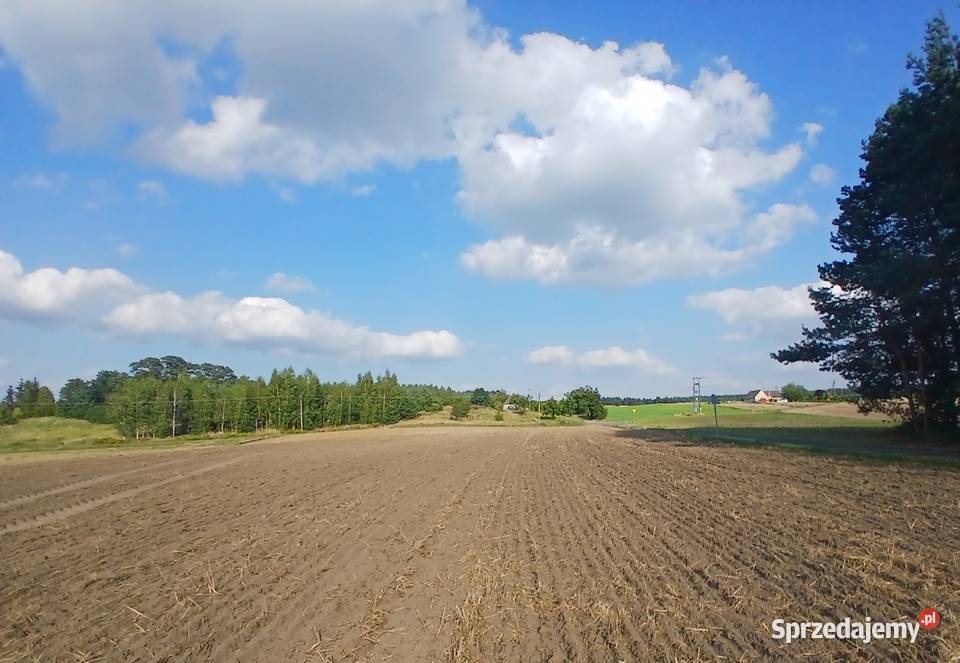 4 działki budowlane z WZ Koszary gm Sompolno 0zł/m2