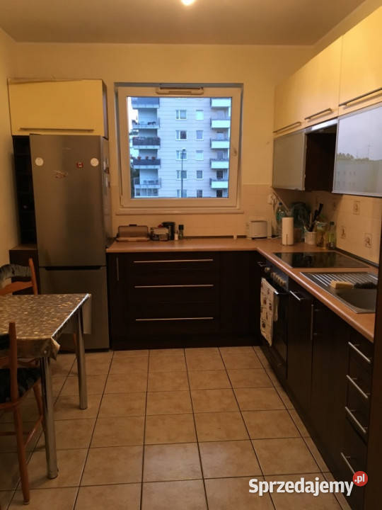 2 pokoje Jeziorku Balaton 2 rooms by Lake Liczba pokoi 2 Warszawa