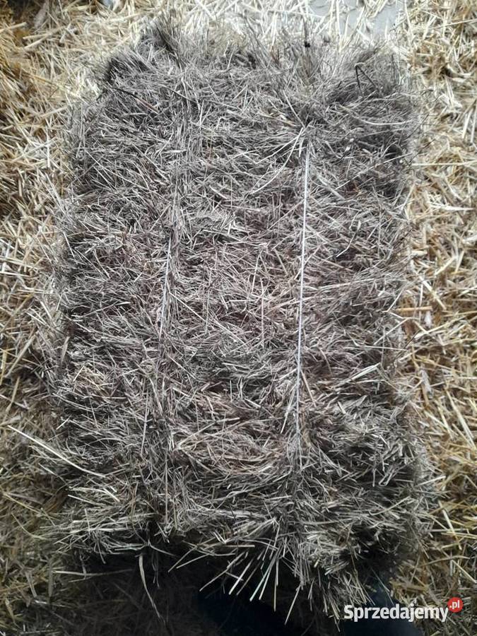 Siano sprzedam