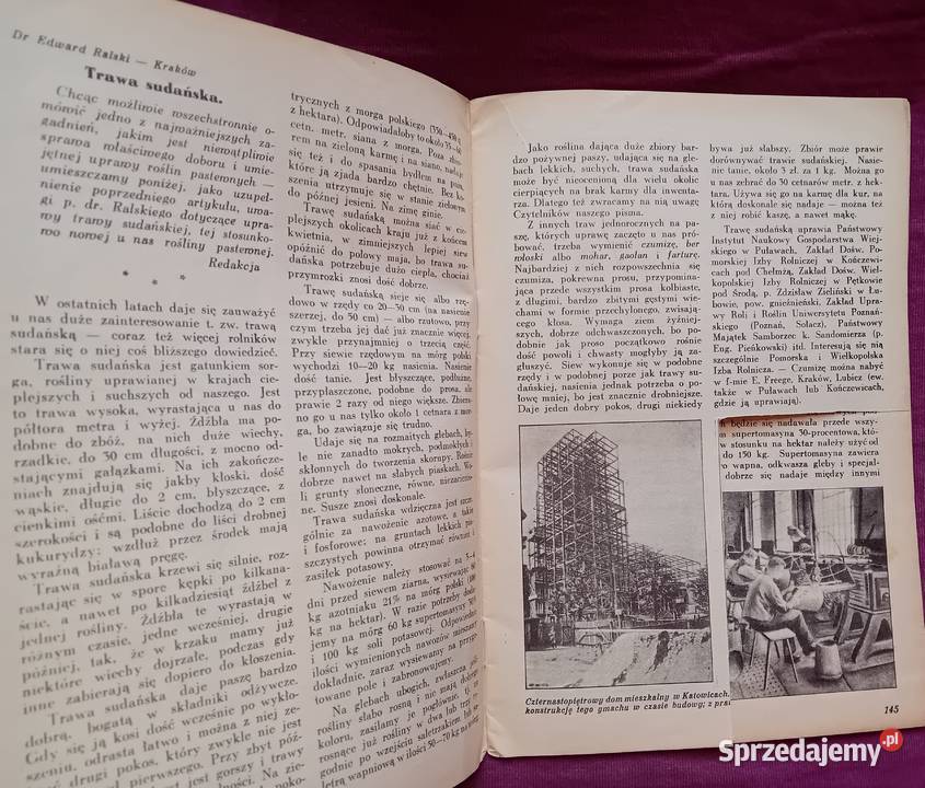 Miesięcznik Plon 4 kwiecień 1937 r IV Antykwariat Koźminek
