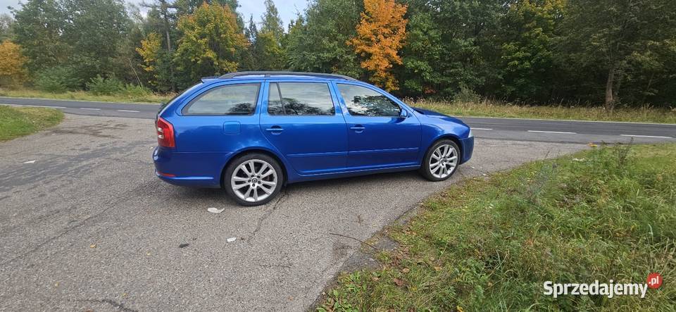 Skoda Octavia Vrs 20 Tdi Sound System Hak 325000km sprzedam