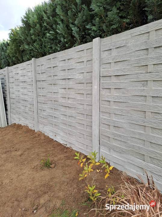 Ogrodzenia betonowe Strzegom