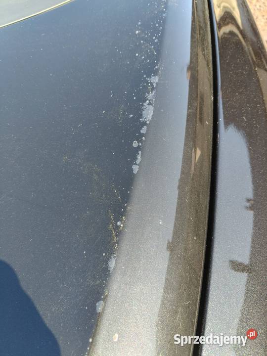 Seat Leon II 19 2 19 105 nieuszkodzony Seat Zielonki