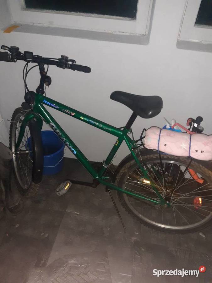 Rowery Dziecięce Płock