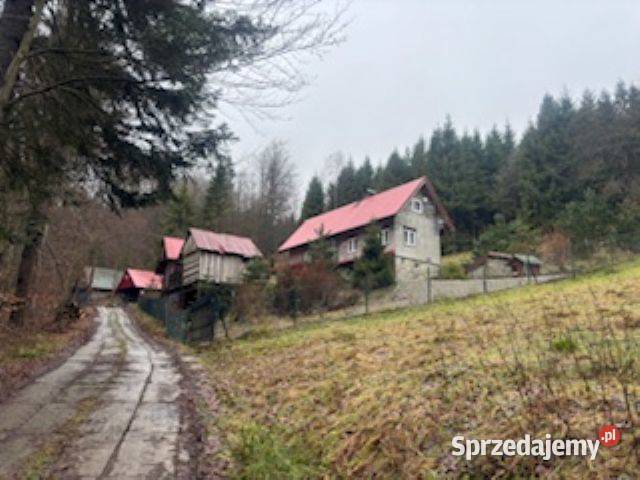 Syndyk sprzeda udział 12 dom I Przetarg