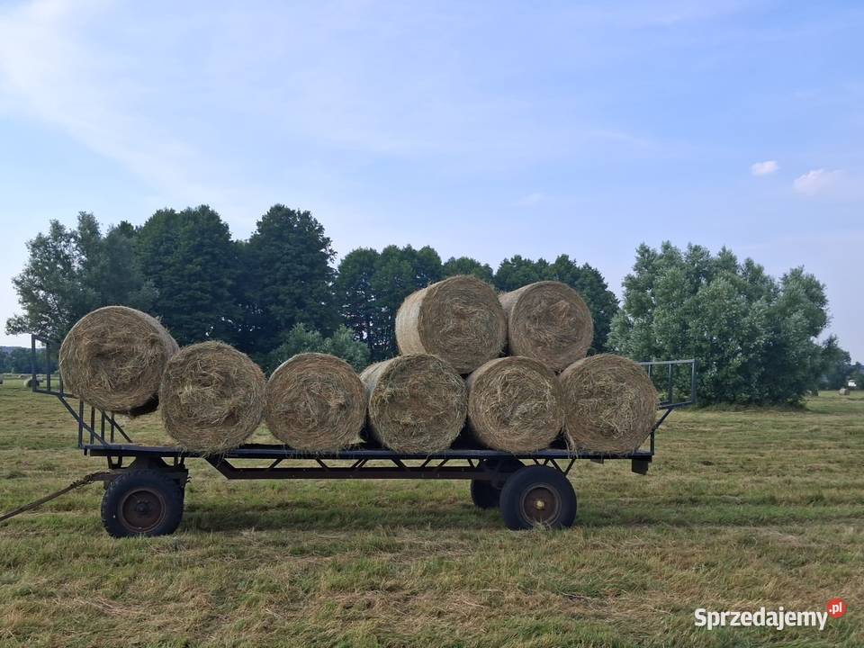 Zbieram rezerwacje na Siano w belach i kostkach Stare Kurowo