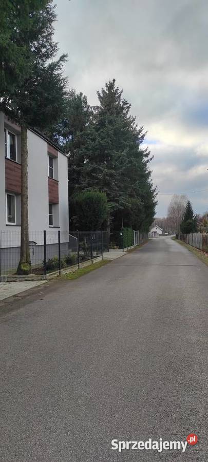 Zadbane siedlisko z 2 oddzielnymi budynkmi Służewo-Pole