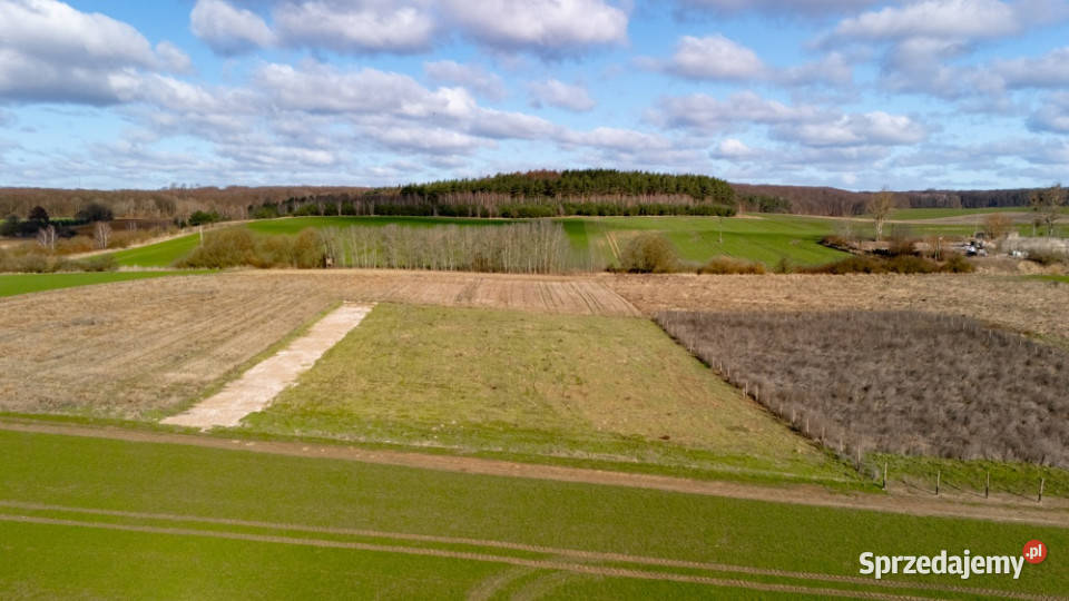 Działka z wydanymi warunkami 105 m2 Szczecin sprzedam