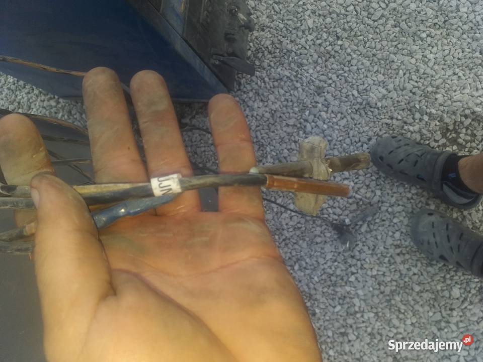 Sterownik tech st81 Sędziejowice sprzedam