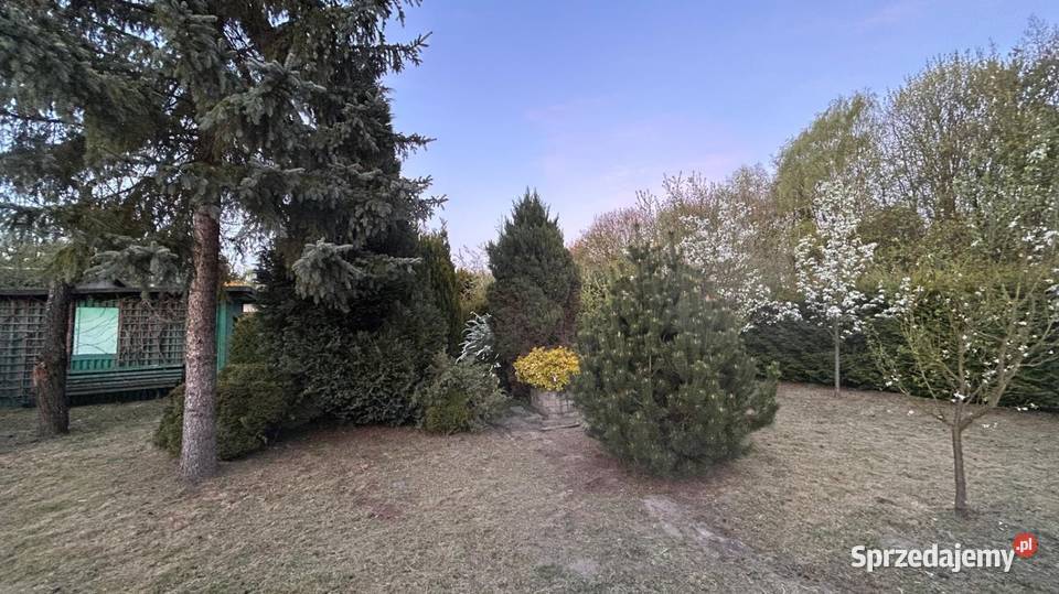 Sprzedam ogródek działkowy obok Parku Śląskiego prąd Chorzów