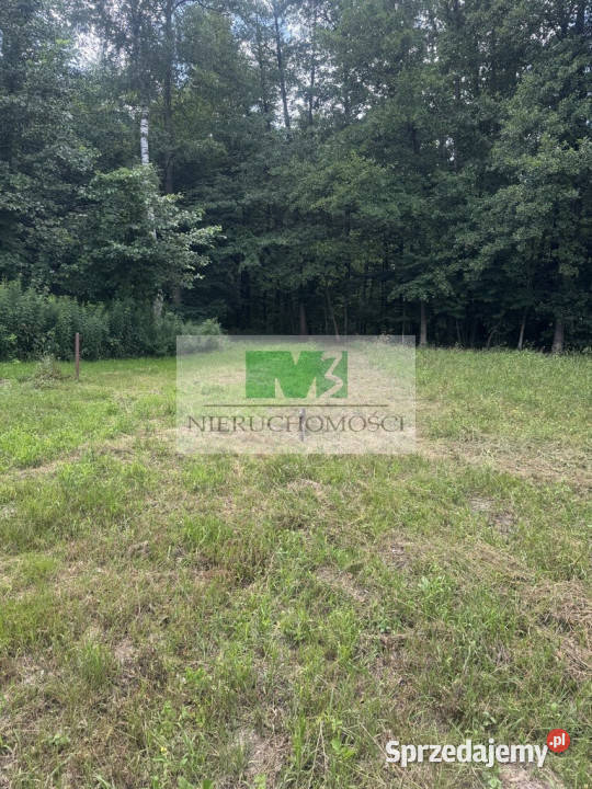 NA SPRZEDAŻ DZIAŁKA W OTOCZENIU LASU W JELNEJ podkarpackie