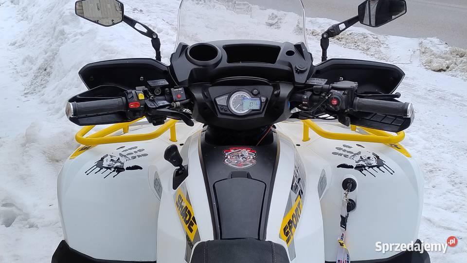 Access 650efi 2019r 4x4 Kymco TGB Sym Cfmoto