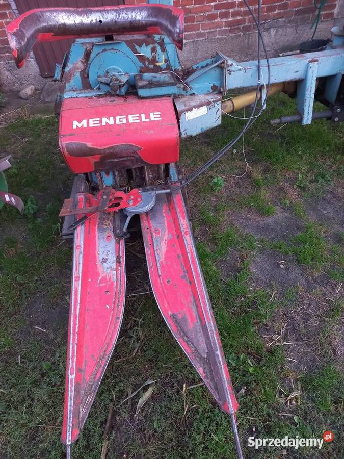 Mengele Lisków