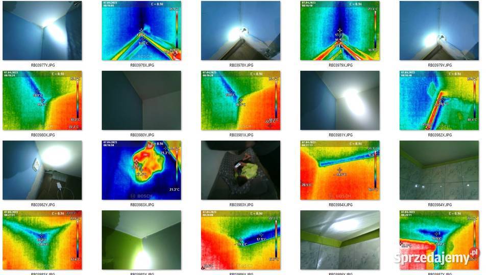 Usługi kamerą na podczerwień termograficzną Pozostałe usługi dolnośląskie Wrocław