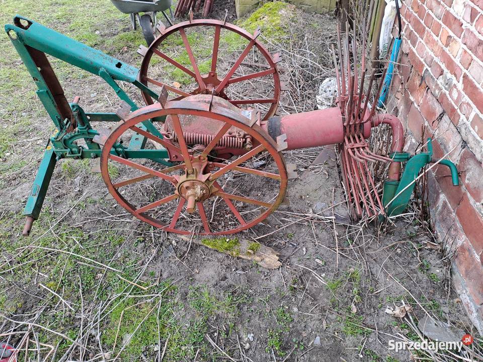 Kopaczka konna sprawna Piękna ozdobą do ogrodu Rusiec sprzedam