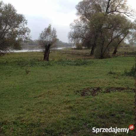 działki Bugiem siedliskowa mazowieckie Bojany