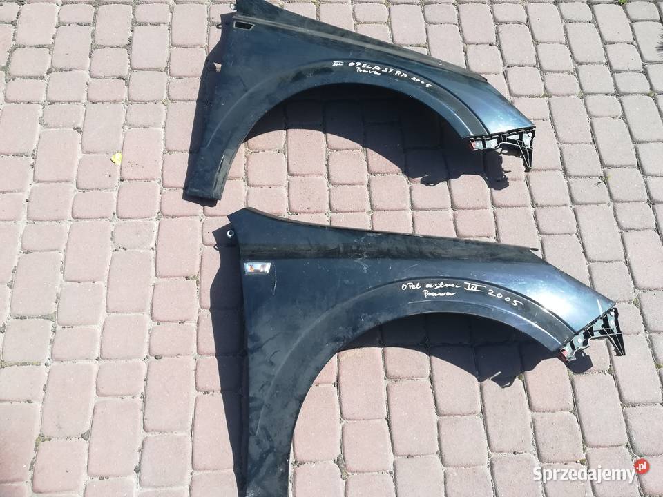 Blotnik Opel Astra 2006 Wola Raniżowska