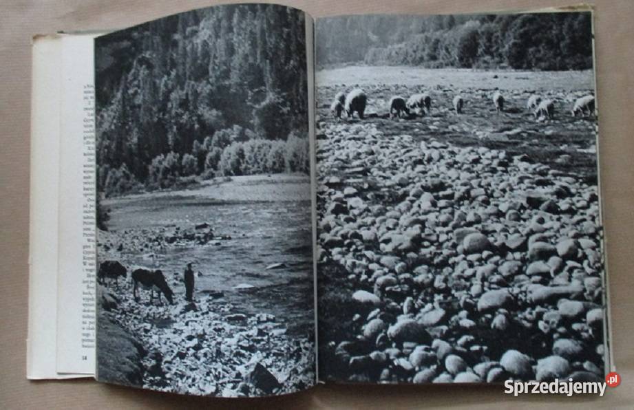 Pieniny Edward Hartwig album fotografia sztuka łódzkie