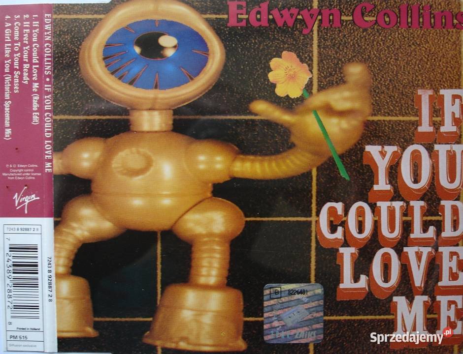 Edwyn Collins If you could love me Zbylitowska Góra