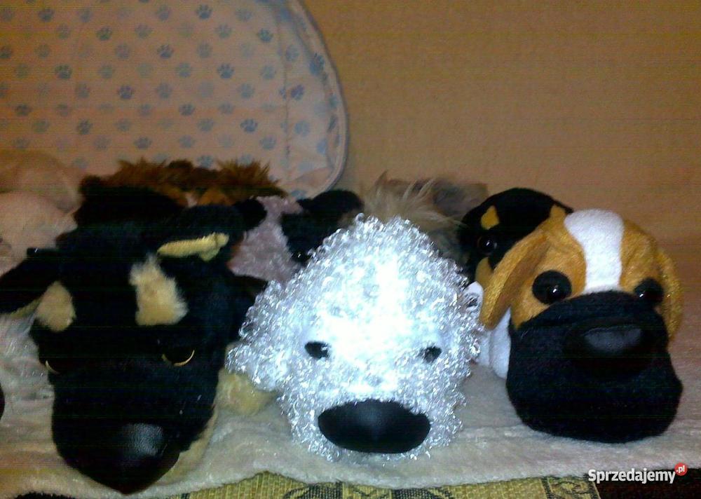 kolekcja THE DOG sprzedam