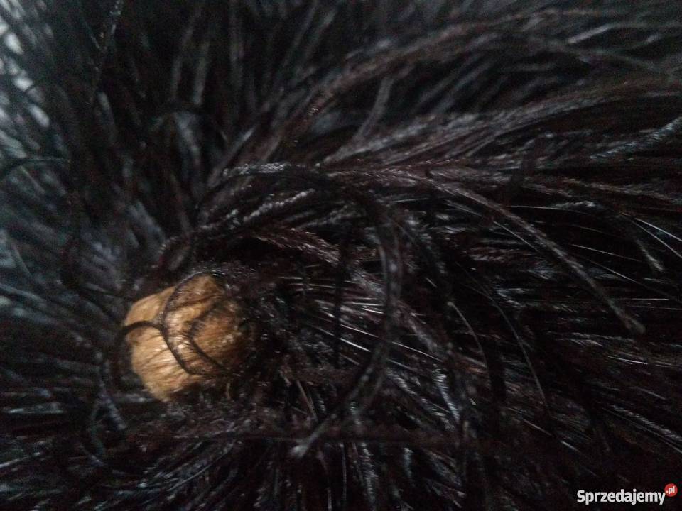 zabytkowy szal BOA ZE STRUSICH PIÓR oryginał Warszawa sprzedam