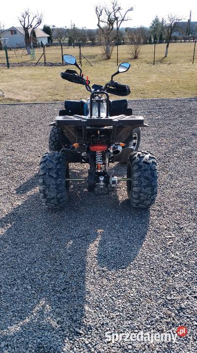 Quad Raptor 250 100km Krasne