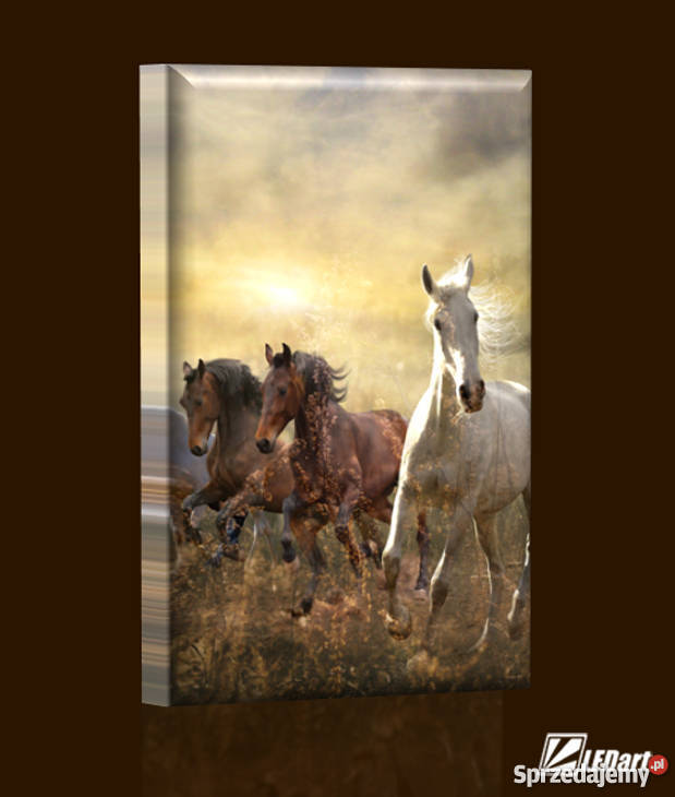 Obraz pionowy z iluminacją LED 110x75 Kraków sprzedam