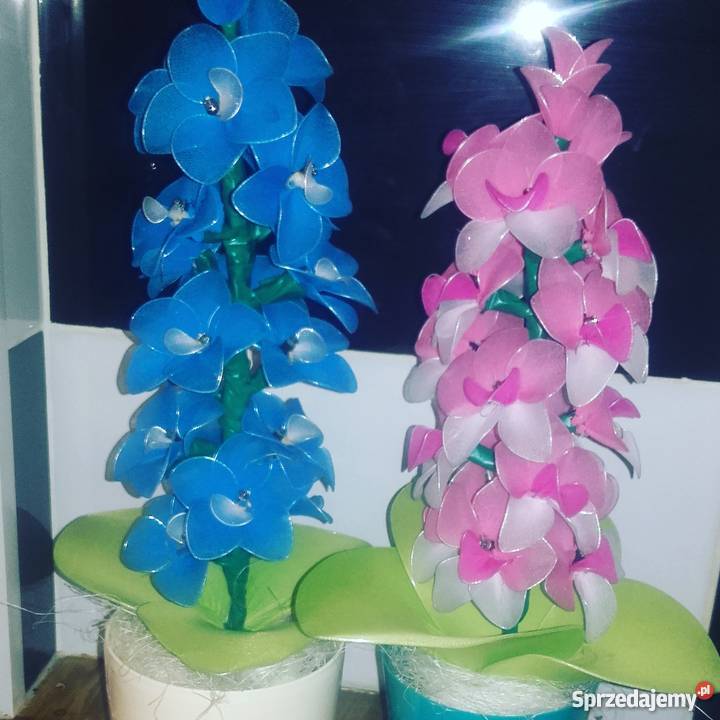 storczyki z rajstop opolskie Nysa