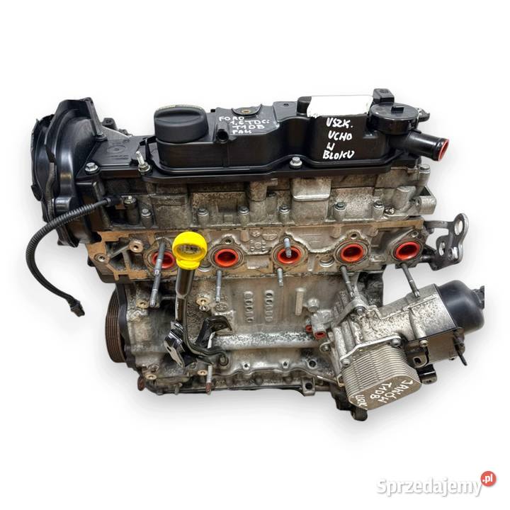 SILNIK T1DB Ford Focus III C C 16 TDCI 115 Chełm