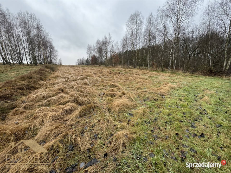 Działka do sprzedania Wodzisław Śląski 9570m2