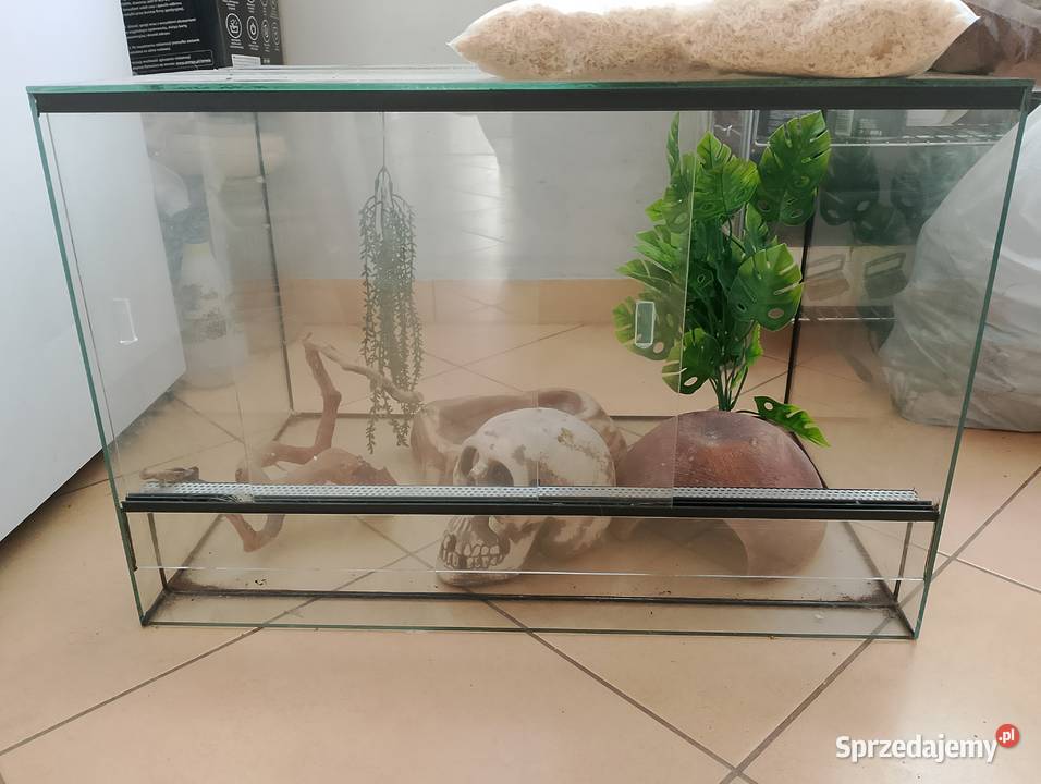 Terrarium węża Terrarystyka Końskie
