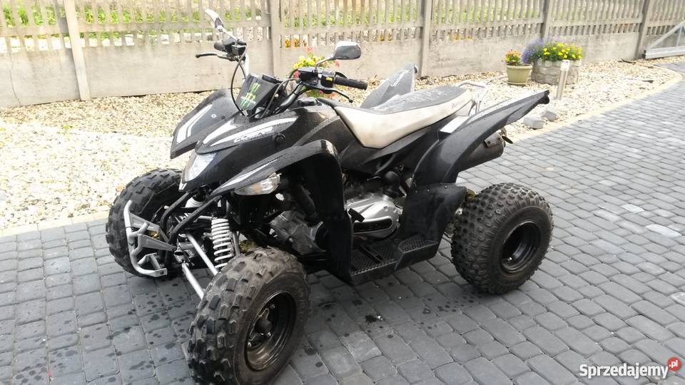 Aeon cobra 350 Możliwa zamiana automatyczna Pozostałe Gogolin