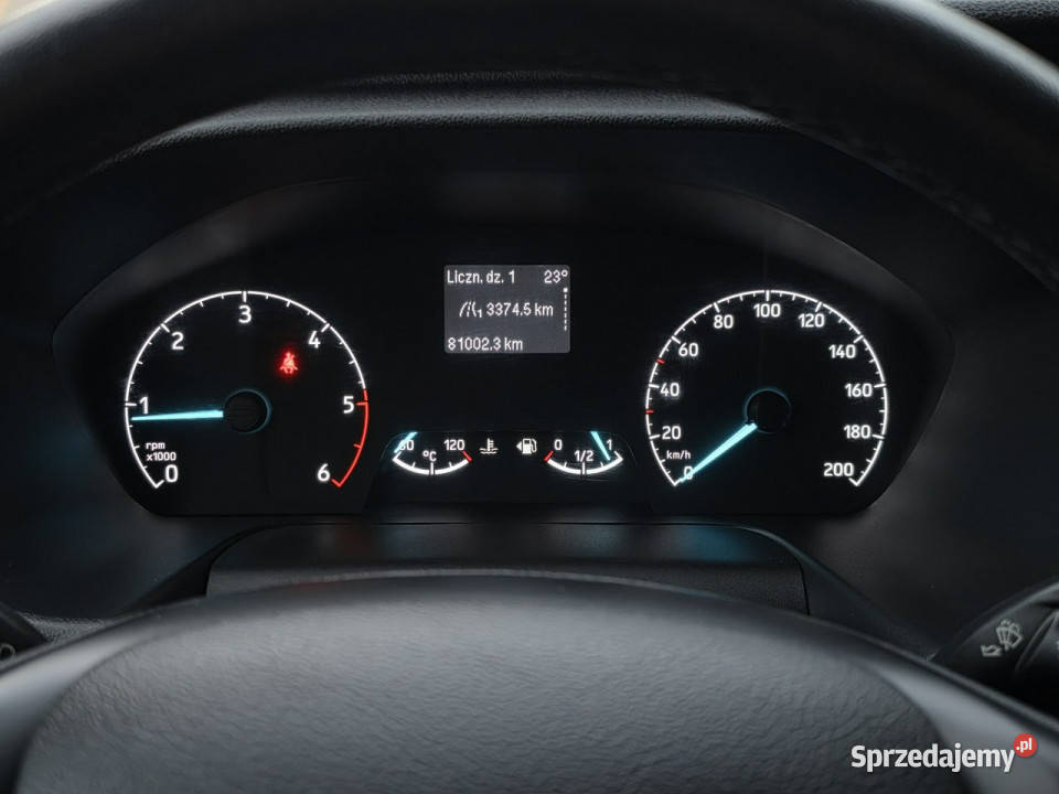 Ford Transit 20 EcoBlue 130 L2H2 Salon Skępe