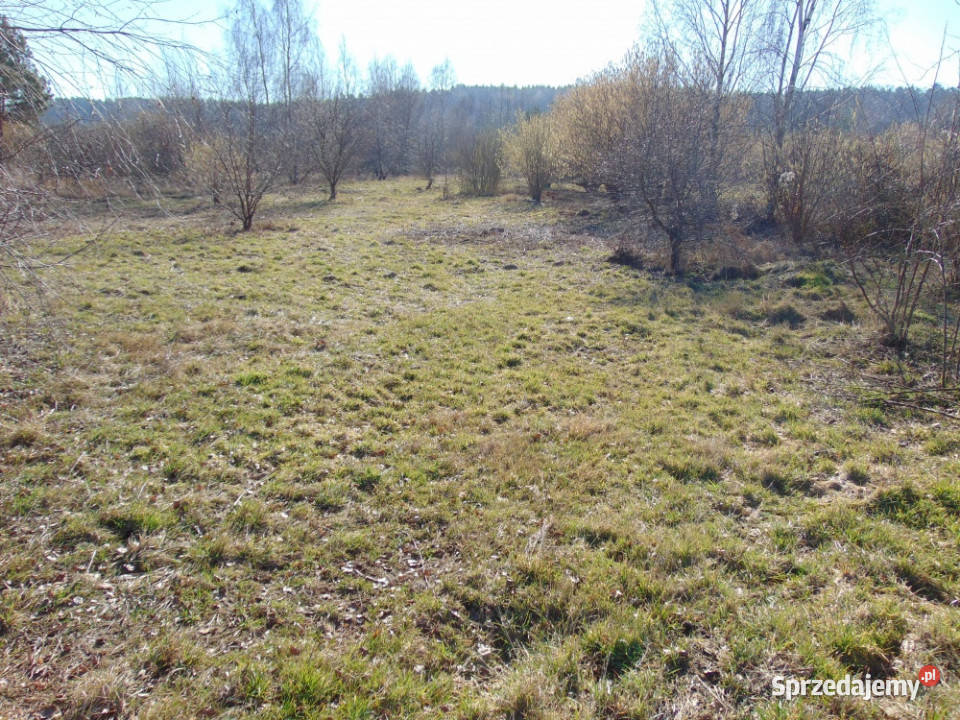 Na sprzedaż działka 4400 m2 Zielonej Góry 4400m2