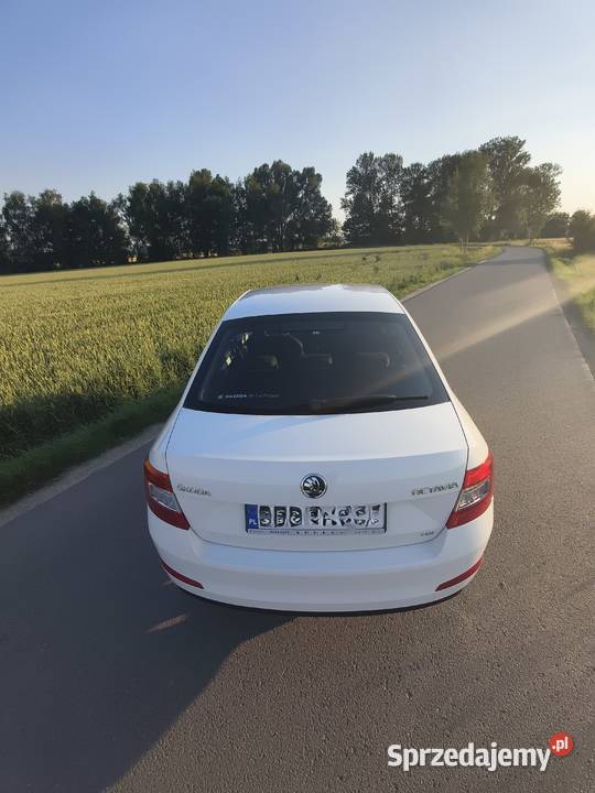 Skoda Octavia 16 TDI Elegance Zadbana Salon tempomat Sędziszów Małopolski