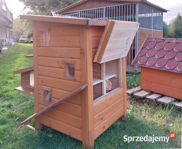 domek kota kotów Skierniewice