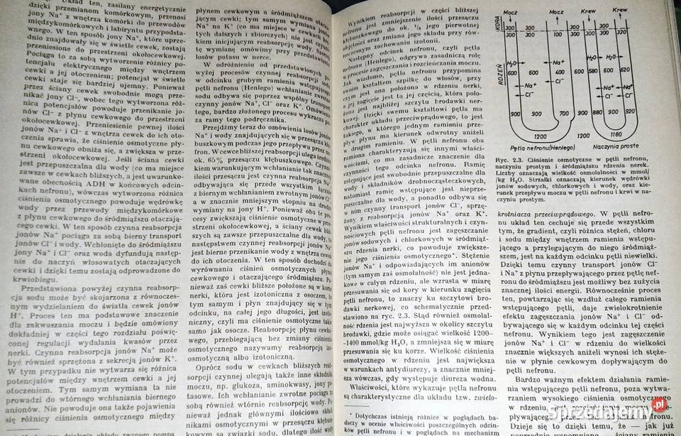 Nauka o chorobach wewnętrznych Tom 8 Witold lubelskie Chełm