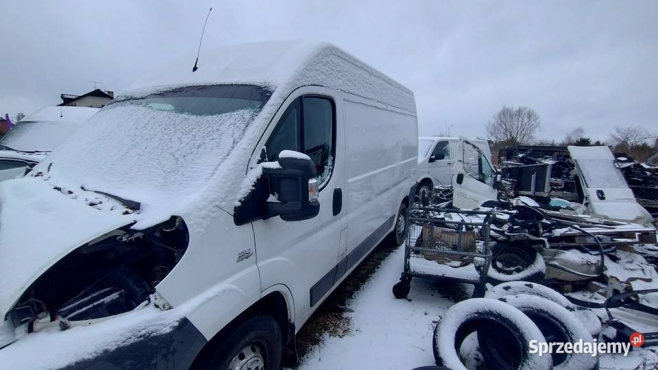 Citroen Jumper Boxer Ducato części furgon Syców sprzedam