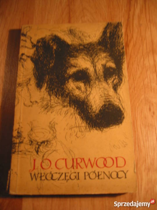 Książki młodzierzy złotówkę sztuki Gliwice