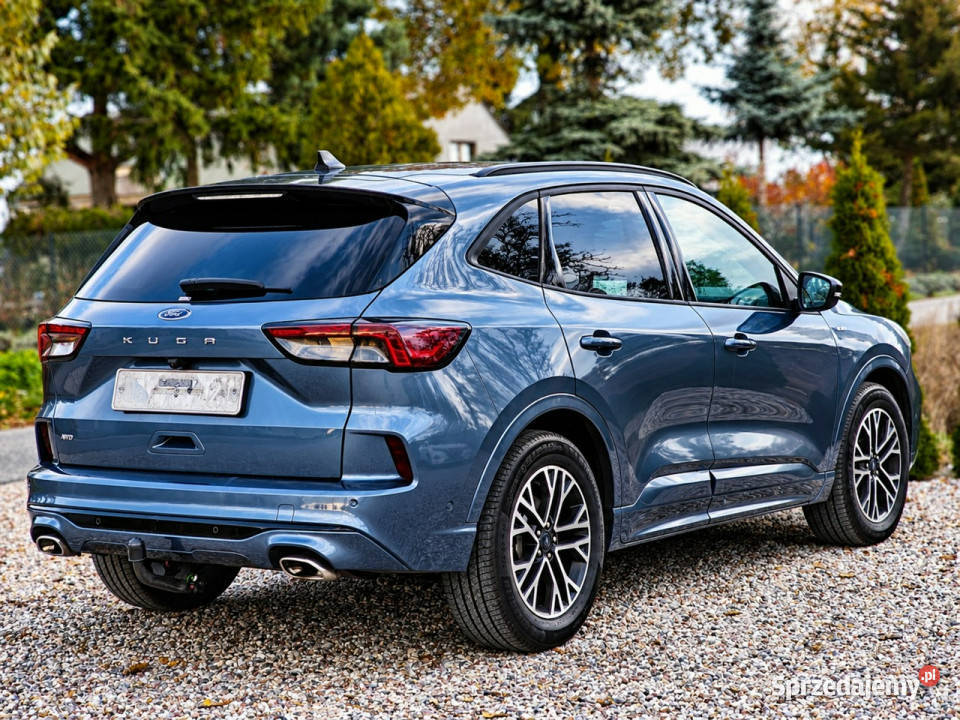 Ford Kuga III 2019 Sadlno