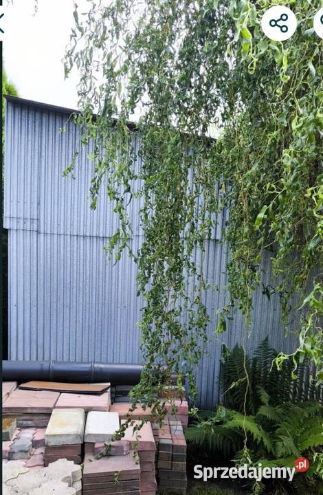 Garaż blaszak 6x35m rozebrany Tomaszów Lubelski sprzedam