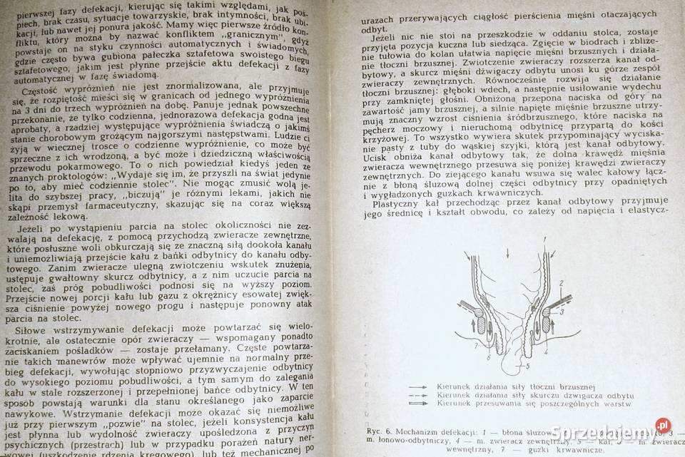 Hemoroidy a choroby proktologiczne Mieczysław Pozostałe Chełm sprzedam