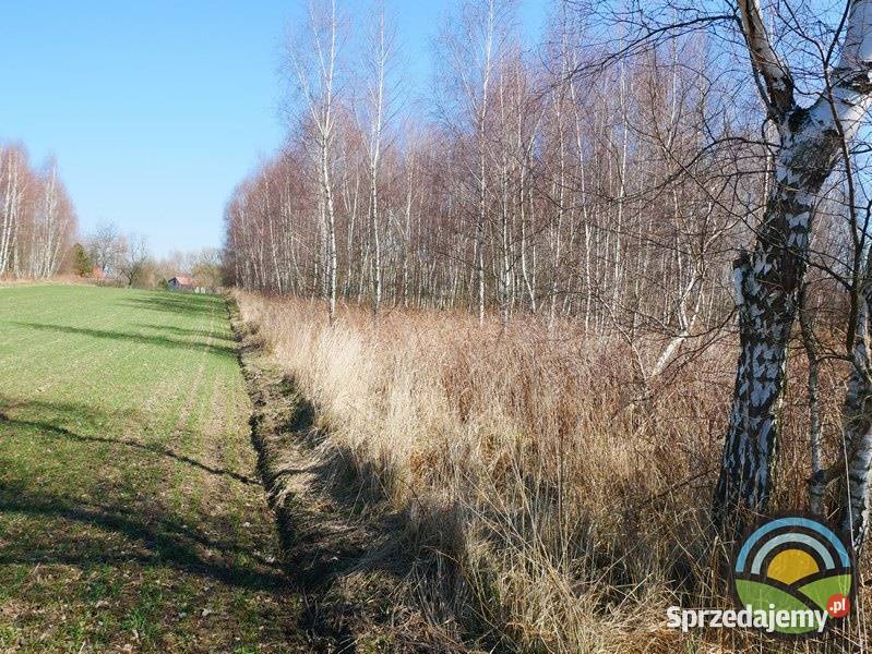 Morawica gm Liszki dzialka 2803 m2 pod produkcję 2803m2