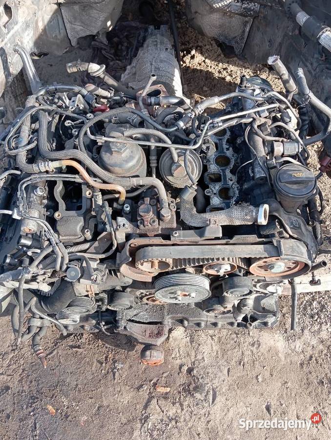 Audi A6 C6 lz9y drzwi przód tył dach ćwiartka Stoczek Łukowski