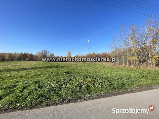 Grunt 3800 metrów Godów handlowo-usługowa Sprzedaż