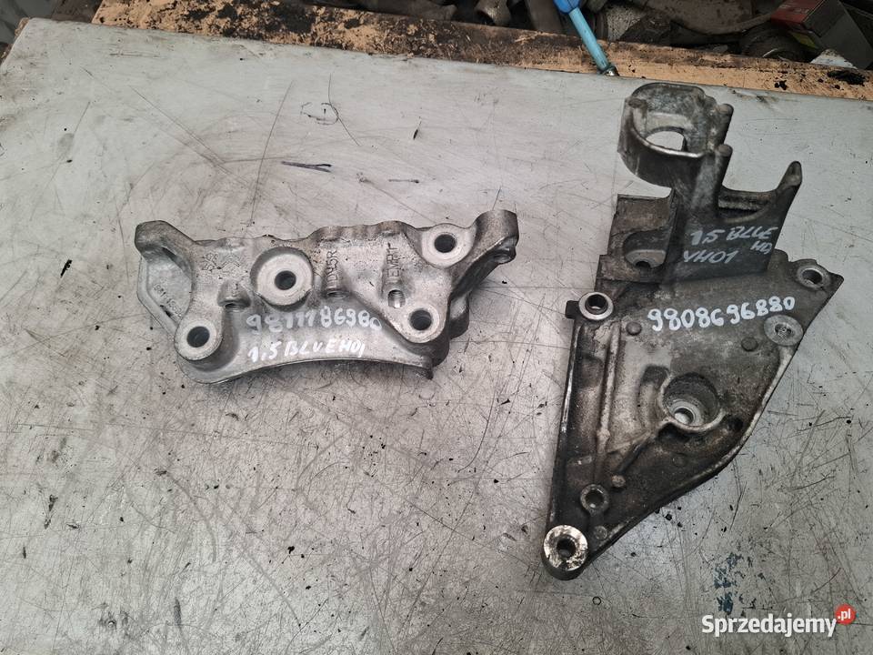 CITROEN PEUGEOT OPEL 15 BLUEHDI lapa silnika Kielce
