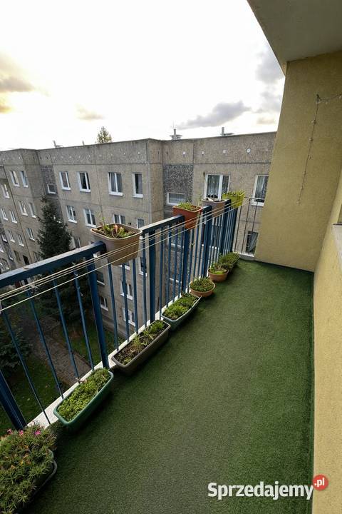 Przestronne 3 pokoje 67 m Matejki Bogatynia sprzedam