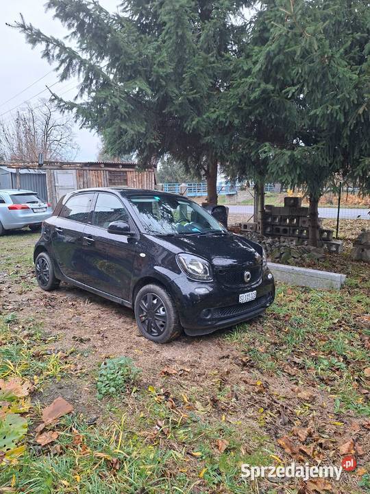 Smarty w stanie Roztoka